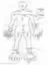 Fig. 01 - POSTURE SENSING APPARATUS AND POSTURE SENSING METHOD