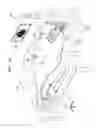 Fig. 08 - Medical image display apparatus and method therefor