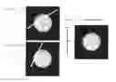 Fig. 11 - Ultrasonic CT Apparatus