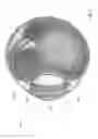 Fig. 04 - Keratoprosthesis and uses thereof