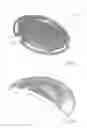 Fig. 05 - Keratoprosthesis and uses thereof