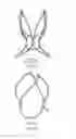 Fig. 07 - Prosthetic heart valve