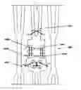 Fig. 01 - Commissure attachment features for improved delivery flexibility and tracking