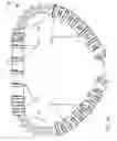 Fig. 02 - Methods, devices, and systems for percutaneously anchoring annuloplasty rings