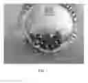 Fig. 02 - Compression resistant implants including an oxysterol and methods of use