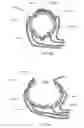 Fig. 33 - Dynamic support apparatus and system