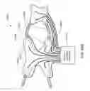 Fig. 43 - Dynamic support apparatus and system