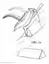 Fig. 11 - Heel protector and corresponding rehabilitation systems and methods for using the same