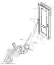 Fig. 01 - Portable traction device with sling