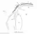 Fig. 04 - Injector apparatus and method for drug delivery