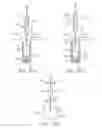 Fig. 06 - Injector apparatus and method for drug delivery