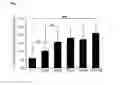 Fig. 02 - NUTRITIONAL COMPOSITIONS CONTAINING BUTYRATE AND USES THEREOF