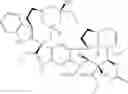 Fig. 09 - PHARMACEUTICAL COMBINATION AND USES THEREOF