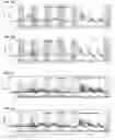 Fig. 02 - COMPOUNDS AND METHODS FOR THE TREATMENT OF NEUROLOGICAL DISORDERS
