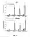 Fig. 08 - PAC-1 combination therapy
