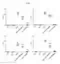 Fig. 02 - Pyrido[3,4-d]pyrimidine derivative and pharmaceutically acceptable salt thereof