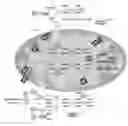 Fig. 01 - Treatment of mitochondrial diseases