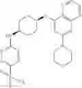 Fig. 265 - DNA-PK inhibitors