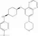 Fig. 97 - DNA-PK inhibitors