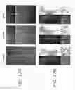 Fig. 20 - Diarylpropionitrile therapy for treatment of multiple sclerosis