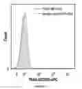 Fig. 14 - Method of treating multiple myeloma using natural killer cells expressing a chimeric antigen receptor for CD38