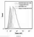 Fig. 15 - Method of treating multiple myeloma using natural killer cells expressing a chimeric antigen receptor for CD38