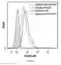 Fig. 16 - Method of treating multiple myeloma using natural killer cells expressing a chimeric antigen receptor for CD38
