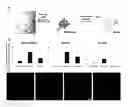 Fig. 01 - COMPOSITIONS AND METHODS FOR NEURONAL DIFFERENTIATION OF CELLS