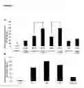 Fig. 02 - COMPOSITIONS AND METHODS FOR NEURONAL DIFFERENTIATION OF CELLS