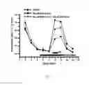 Fig. 08 - Inhibitors of BCL-2