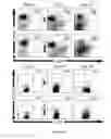 Fig. 06 - Methods for modulating an inflammatory response