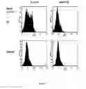 Fig. 11 - Methods for modulating an inflammatory response