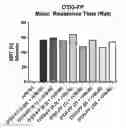 Fig. 01 - Truncated von Willebrand factor polypeptides for treating hemophilia