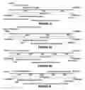 Fig. 09 - ADENO-ASSOCIATED VIRUS FACTOR VIII VECTORS