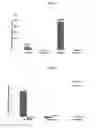 Fig. 07 - Controlled release system for pulmonary delivery of surfactant protein D