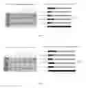 Fig. 04 - Botulinum neurotoxin compositions