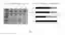 Fig. 06 - Botulinum neurotoxin compositions