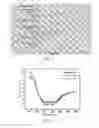 Fig. 04 - Site-specific polyethylene glycolylated (pegylated) asparaginase, preparation method therefor and use thereof