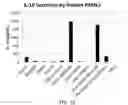 Fig. 08 - SIZE TUNABLE MICROBIAL MIMETICS FOR IMMUNOTHERAPY OF THYROID CARCINOMAS AND SOLID TUMORS