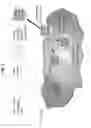 Fig. 02 - Stapled acid-sensitive endosome disrupting alginates