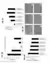 Fig. 07 - Stapled acid-sensitive endosome disrupting alginates