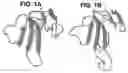 Fig. 02 - Compositions and methods for transport across the blood brain barrier