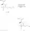 Fig. 89 - Antibody drug conjugate, intermediate, preparation method, pharmaceutical composition and uses thereof