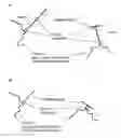 Fig. 01 - Methods and compositions for nucleic acid and protein payload delivery