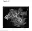 Fig. 136 - Methods and compositions for nucleic acid and protein payload delivery