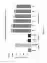 Fig. 21 - COMPLEXES OF RNA AND CATIONIC PEPTIDES FOR TRANSFECTION AND FOR IMMUNOSTIMULATION