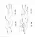Fig. 49 - ADVANCED SCENT DISPERSION DEVICE