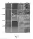 Fig. 08 - Solubilization of antigen components for removal from tissues