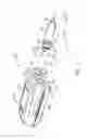Fig. 02 - Syringe with rolling diaphragm