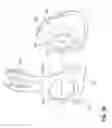 Fig. 07 - Mask with removable headgear connector